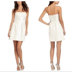 BCBGMaxAzria Women’s Trudy A Line Dress Metallic White Strapless Size 2 NWOT